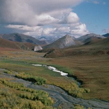 Why Americans Will Never Agree on Oil Drilling in the Arctic National Wildlife Refuge